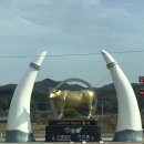 우천축산공판장