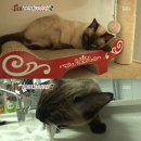 이목농장 2 이미지