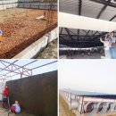 현지네 축산 이미지