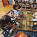 둘리 농장 | 우리들 자연학교 1월 18일 겨울방학 하루 놀고 캠프 둘리샘반 수업 후기