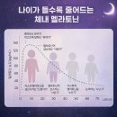 해로 | [리포좀 멜라토닌] 솔직 후기! 만년해로의 고함량 멜라토닌