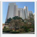 2단지내1번지공인중개사사무소 | 동판교 백현8단지 아파트의 가치와 경쟁력 이야기 - 판교대림공인중개사/부동산