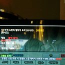 청색자색 이미지