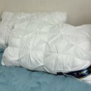 송림세탁 이미지