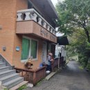 잣나무솔향기 이미지