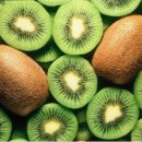 블루애플 이미지