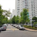 당촌초교 앞 이미지