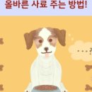 계산동물병원 이미지