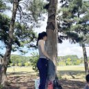 매향리 평화생태공원 | 경기도 화성 가족 여행 추천 – 궁평항 오솔로공원 &amp; 매향리 평화생태공원 나들이 후기