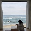 어달을 담다 | 여자 혼자 묵호 뚜벅이 여행 코스 첫날 (묵호김밥 맛집·어달을담다 숙소 후기)