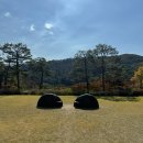 반포동 98-1 프랑스학교 | 호암미술관 {루이스 부르주아/덧 없고 영원한}전시 후기 – 상처의 치유일까? 자기연민의 늪일까?