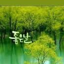 봄, 희망의소리 이미지