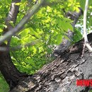 (사)향기 이미지