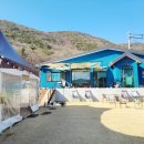 코코블리 애견운동장 네이버블로그