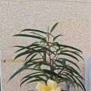 길메리유치원 이미지