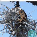 유정신경정신과의원 이미지