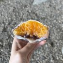 모찌나가 | [대구 동구 신암동] 선물용으로 딱인 동대구역 근처 제철 과일모찌 내돈내산 솔직후기 | 모찌나가