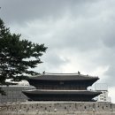 어른이보호구역 | 동대문디자인플라자 DDP 무료전시 “어른이보호구역“ 팝업 방문 후기