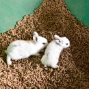 공주목장 이미지