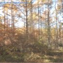 무이2리경로당 이미지