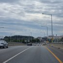 러빙펫 강아지분양 배곧본점 이미지