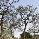 어반스케치 일러스트 이미지