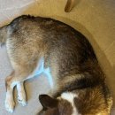 스테이더담 금천점 이미지