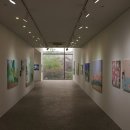 레이지연화 이미지