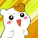 용인대국가대표사랑태권도 이미지