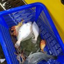 충청도음성횟집