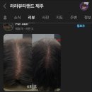 라라뷰티랜드제주