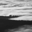 약초와 건강 이미지