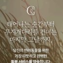 몽몽이 미용실 이미지