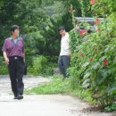 도천농장 이미지