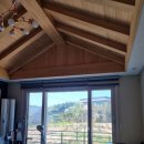 운양초교 이미지