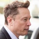 Top Dog PC 이미지