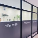 라온스크린 이미지