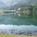 도모지골 이미지