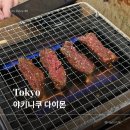 도쿄 야키니쿠 다이몬(Yakiniku Daimon) | 평일 저녁 방문 후기 + 메뉴판 번역