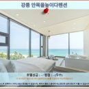 애견마트(송정점) | 강릉 안목을높이다펜션 후기: 강릉 여행 호텔 추천!