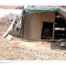애인농장