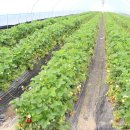 카페테리아누리 이미지