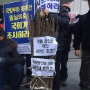 성주, 김천, 원불교 - 사드 철회 당론 채택 요구하며 더불어민주당 당사 농성 시작. 1. 11 이미지