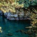 라라보목 이미지