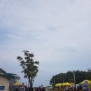 센스노래궁