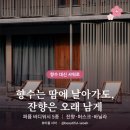 프롬피오니 | 향수는 땀에 날아가도, 퍼퓸 바디워시 추천 5가지 ｜ 잔향·머스크·바닐라향