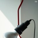 콜론컬럼