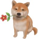 개깎는중 이미지