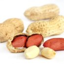 해바라기안경원 네이버블로그