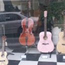 코스모스악기 이미지